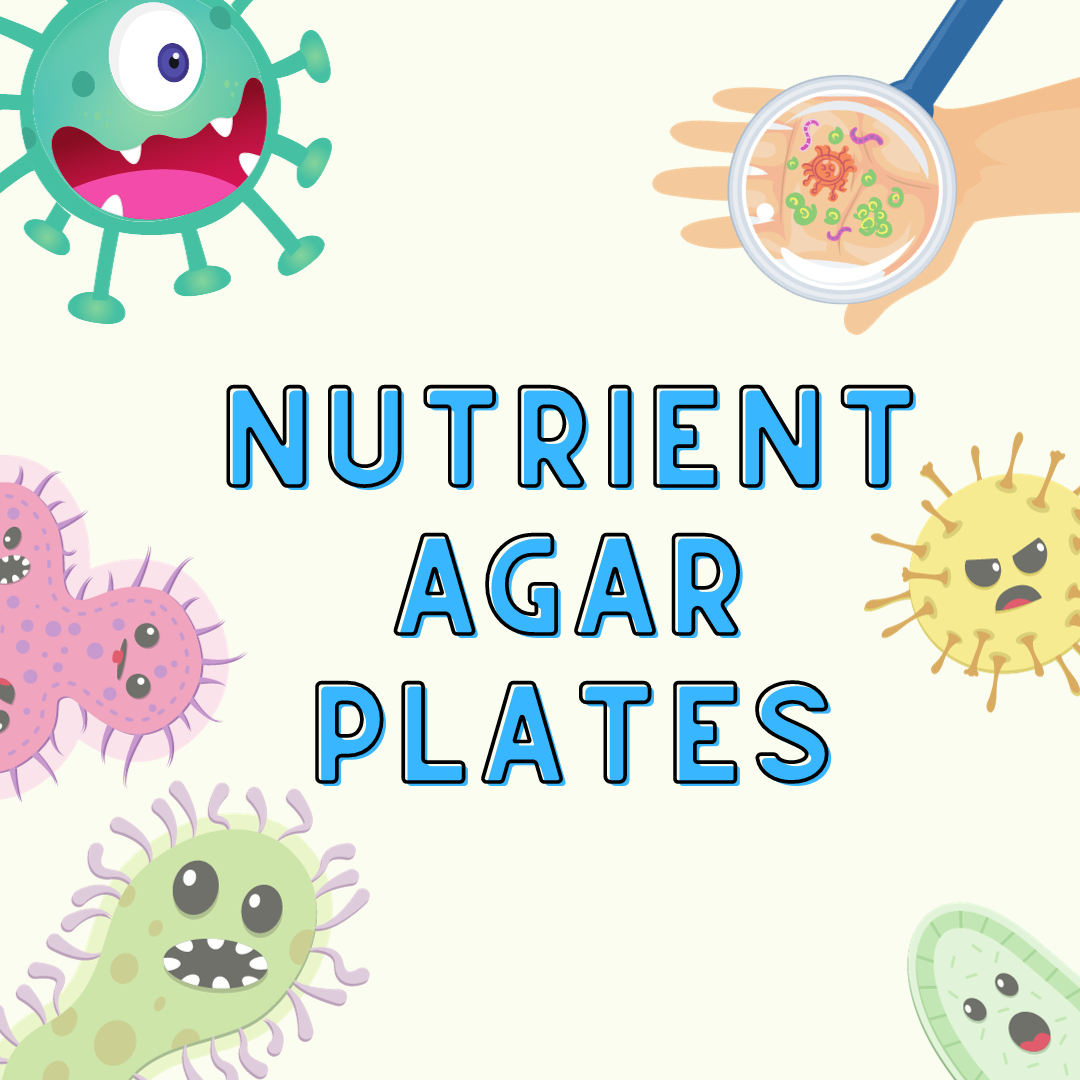 Nutrient Agar Plates