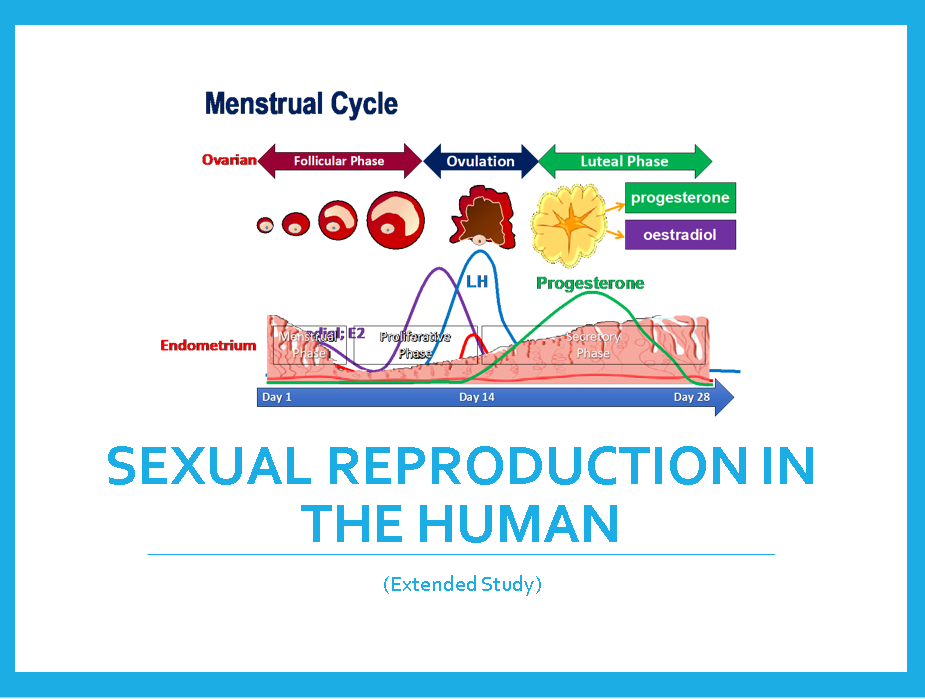 Screenshot 2023-12-07 174921