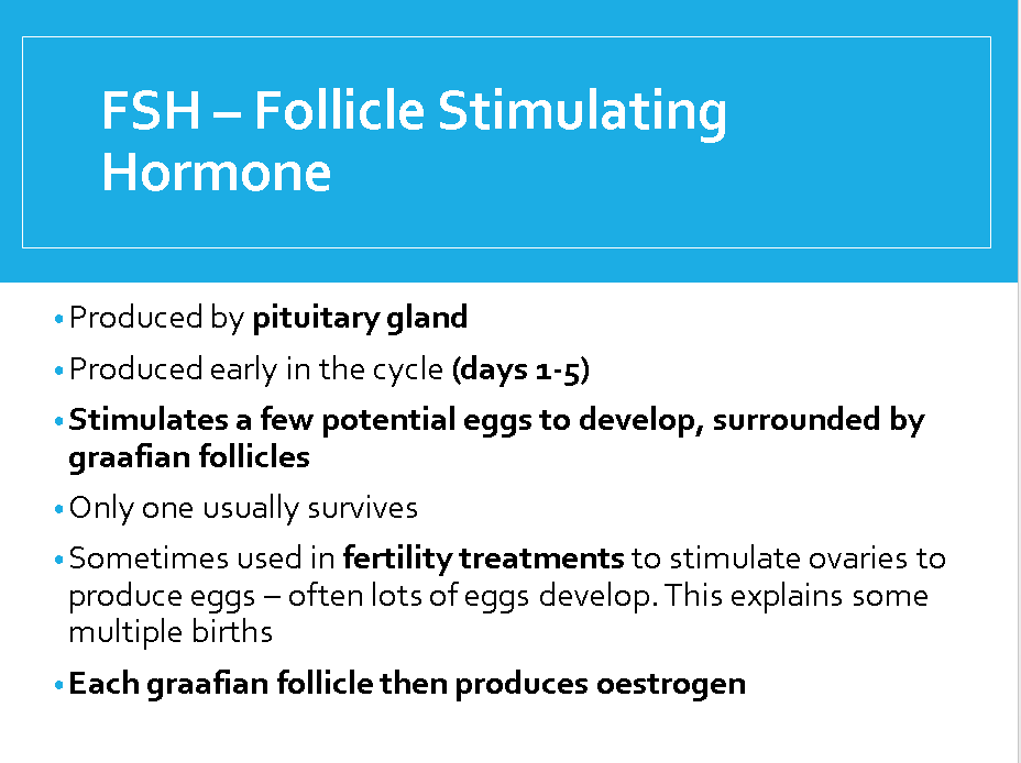 Screenshot 2023-12-07 175137