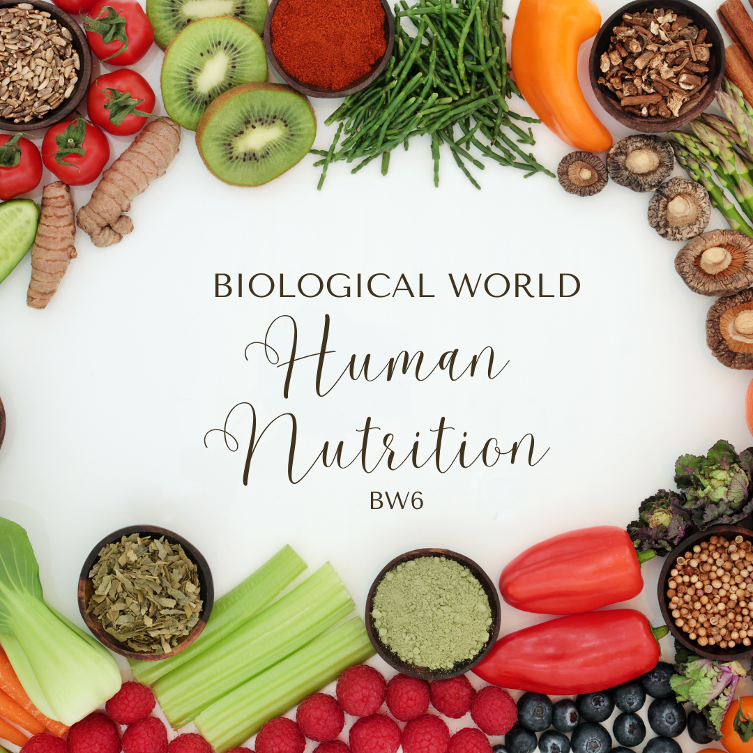 Human Nutrition (BW6)