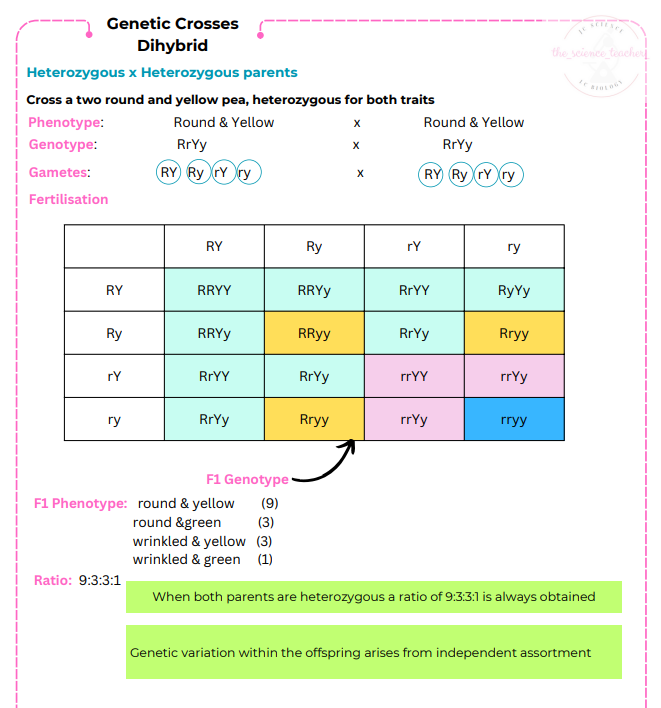 Screenshot 2024-08-20 165448