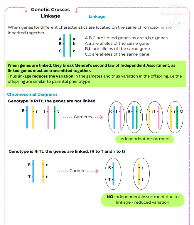 Screenshot 2024-08-20 165545