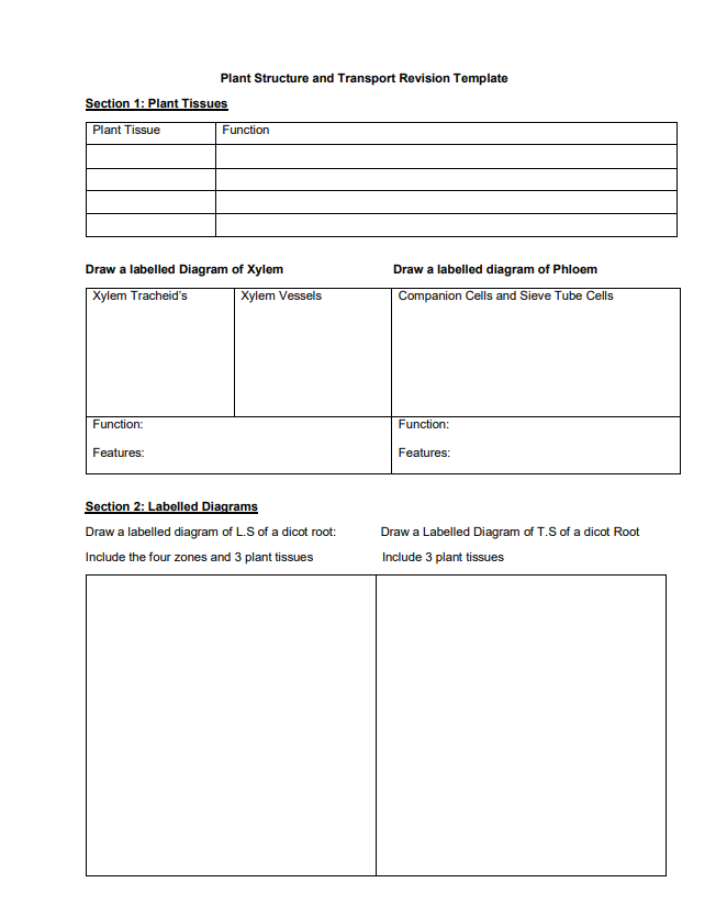 Screenshot 2025-01-27 151909