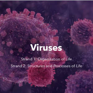 1.1.2 Viruses ( & 2.4.13)