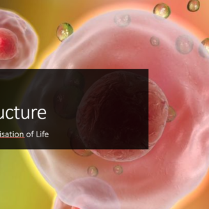 1.3 Cell Structure and Complexity