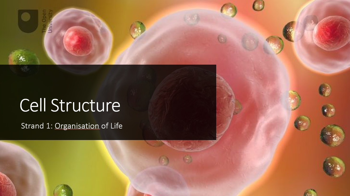 1.3 Cell Structure and Complexity