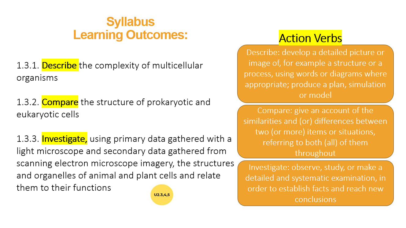 1.3 Cell Structure and Complexity - Image 4