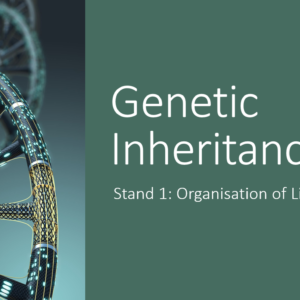 1.4 Genetic Inheritance