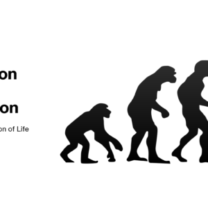 1.5 Variation, Mutations (2.3) and Evolution