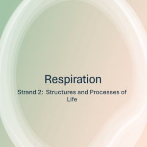 2.2 Respiration