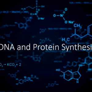 DNA and Protein Synthesis