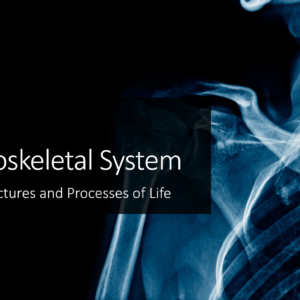 Musculoskeletal System