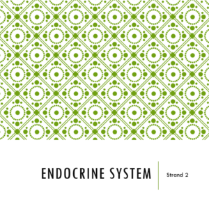 Endocrine System