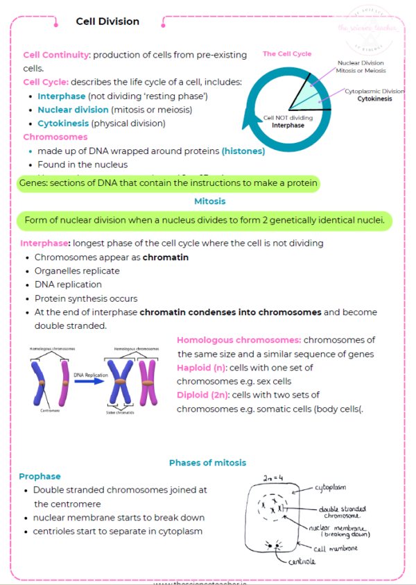 Condensed Revision Notes: Cell Division and Cancer – thescienceteacher.ie