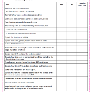 Condensed Revision Notes: DNA and Protein Synthesis (2.3 & 1.2)