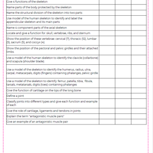 Condensed Revision Notes: Musculoskeletal System