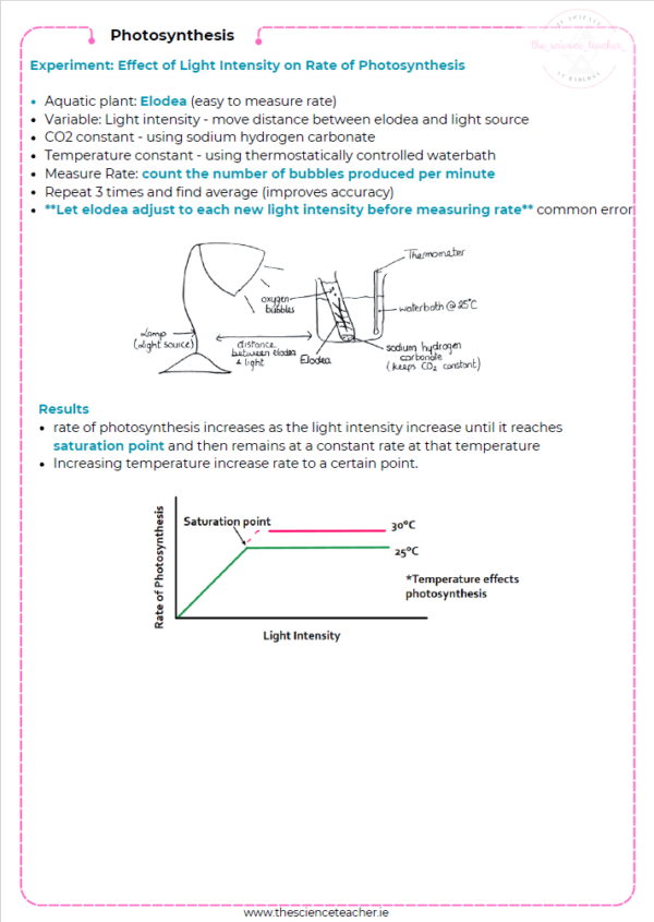 Condensed Revision Notes: Photosynthesis – thescienceteacher.ie