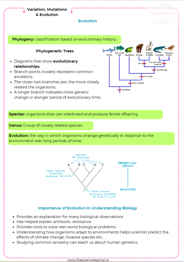 Condensed Revision Notes: Variation, Evolution and Mutations ...