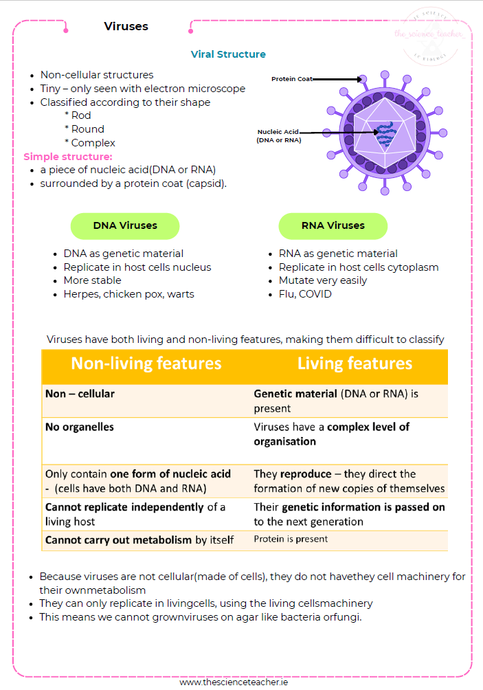 Condensed Revision Notes: Viruses - Image 3