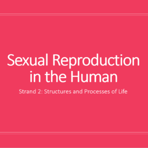 Human Reproduction (2.5.1-6) PPT