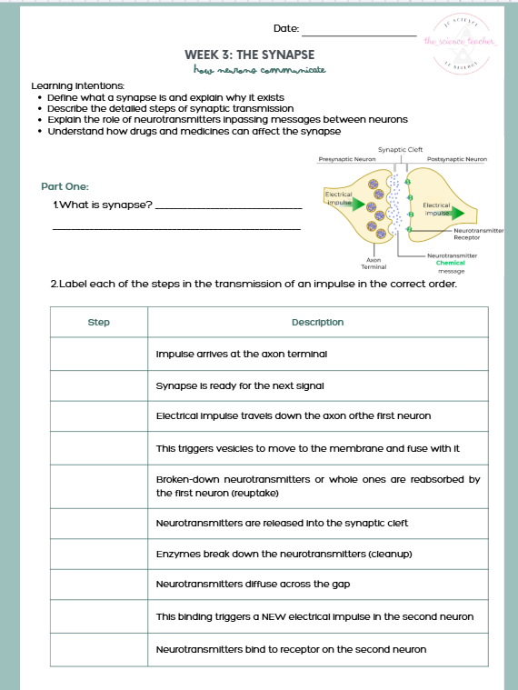 TY Biology 8-Week Module: Nervous System - Image 4