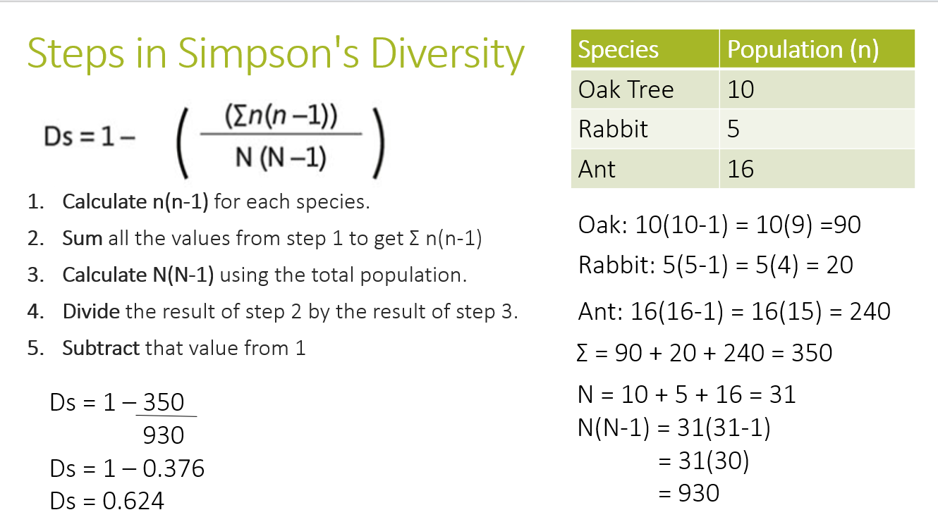 3.1 Ecology PPT - Image 6
