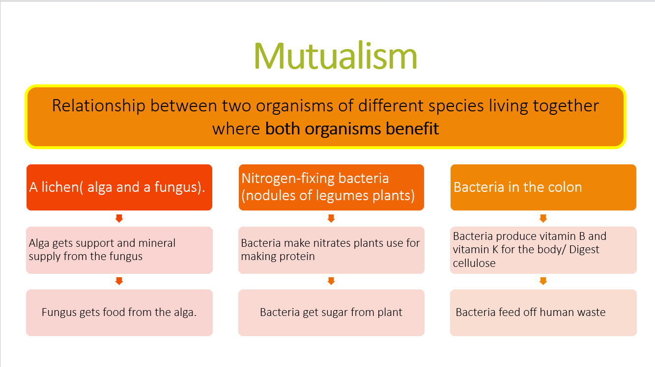 3.1 Ecology PPT - Image 2