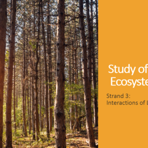 3.1.11 Ecosystem Study PPT