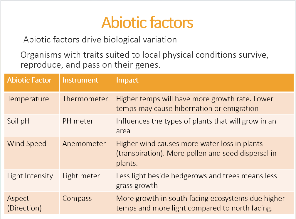 3.1.11 Ecosystem Study PPT - Image 4