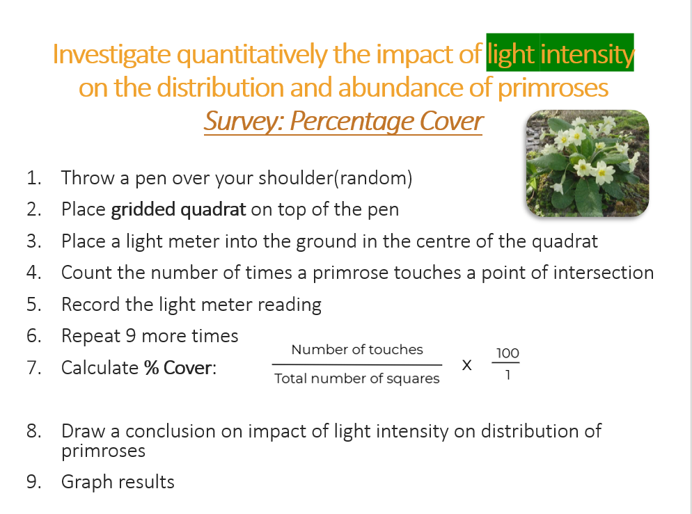 3.1.11 Ecosystem Study PPT - Image 5