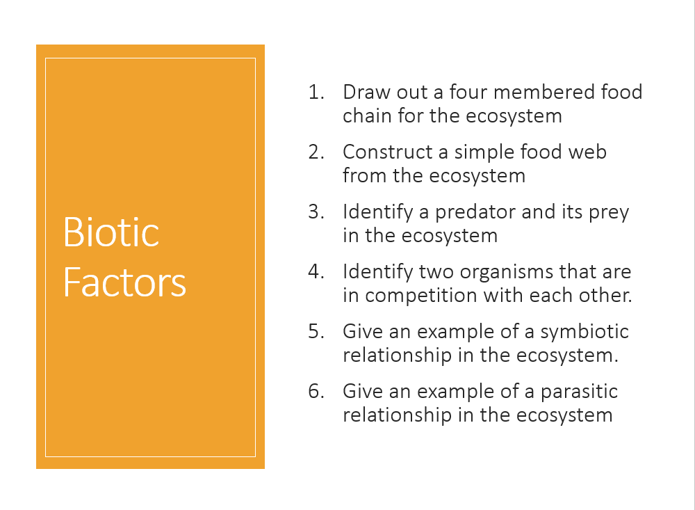 3.1.11 Ecosystem Study PPT - Image 2