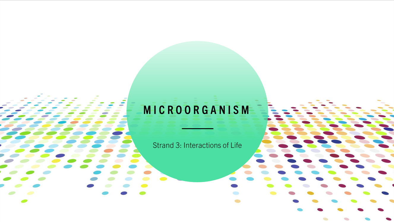 3.2 Microorganisms PPT