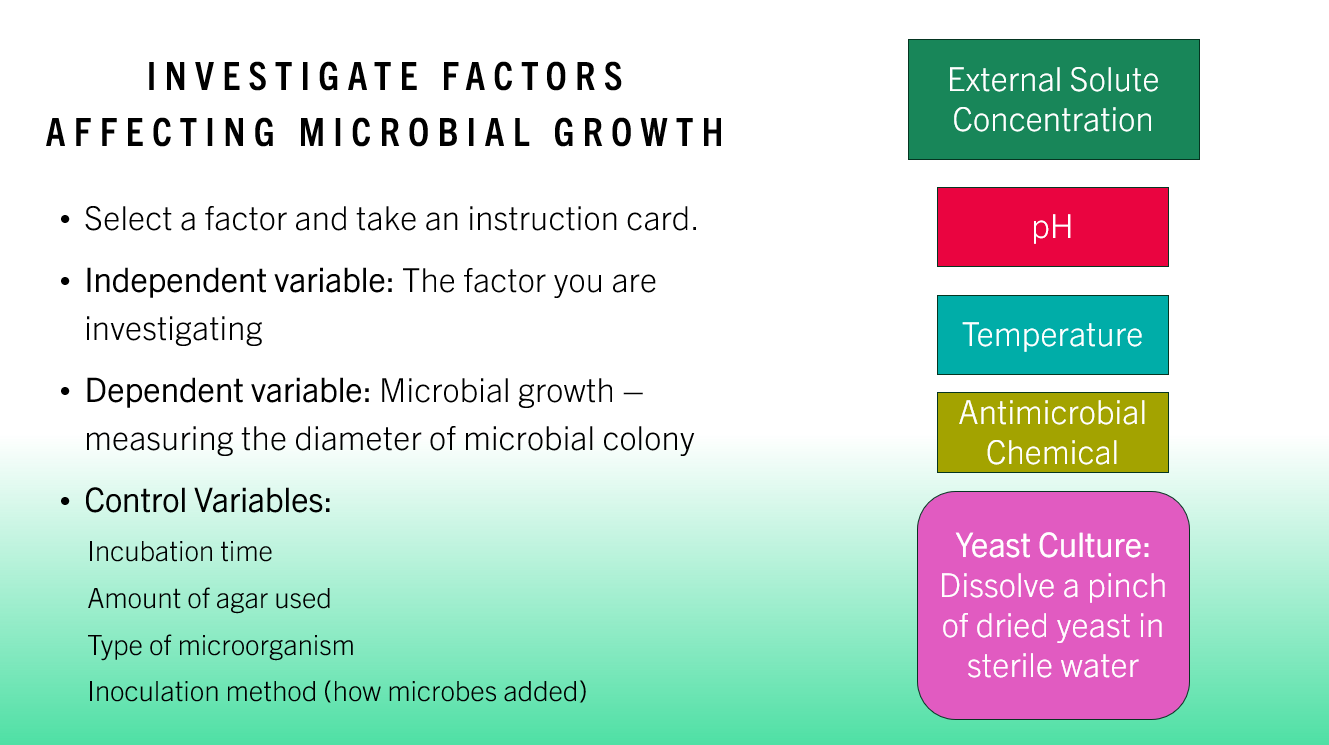 3.2 Microorganisms PPT - Image 6