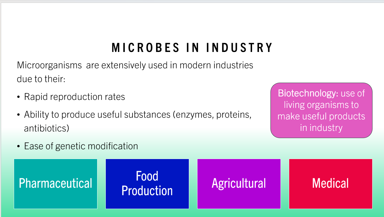 3.2 Microorganisms PPT - Image 4