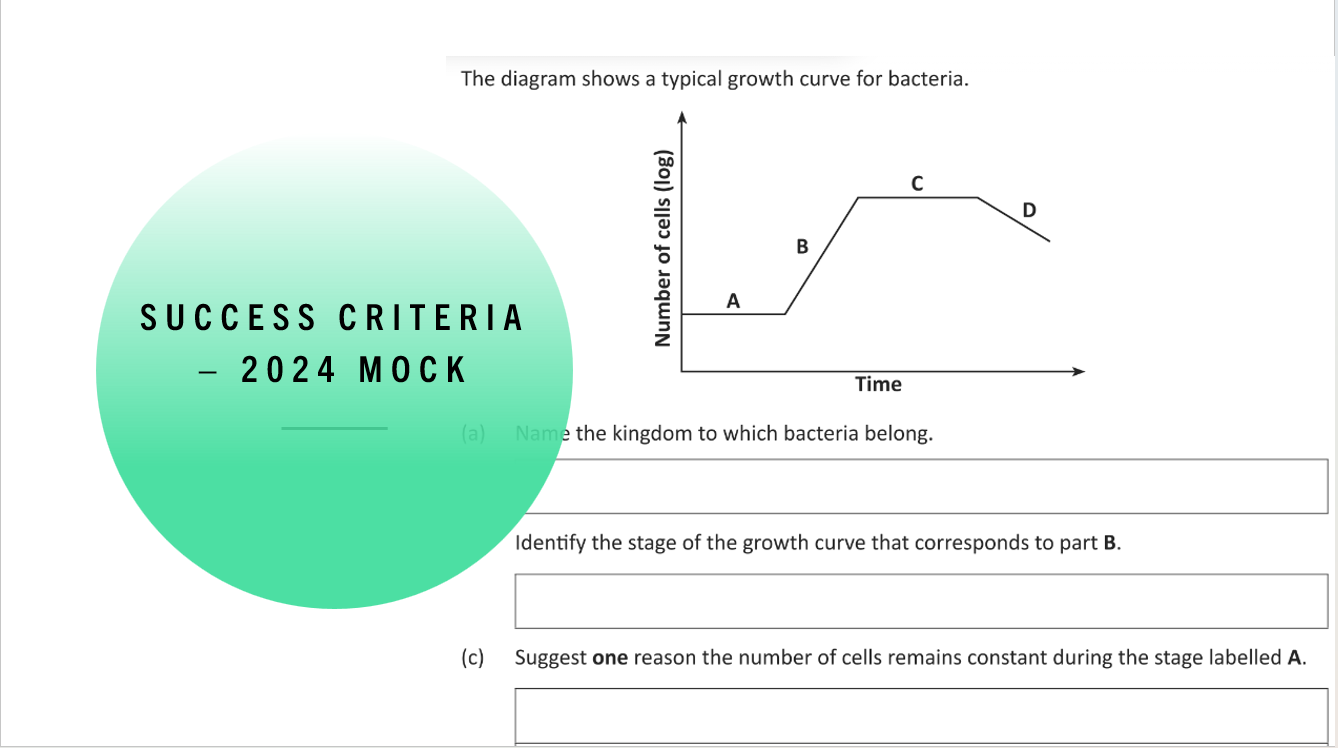 3.2 Microorganisms PPT - Image 3