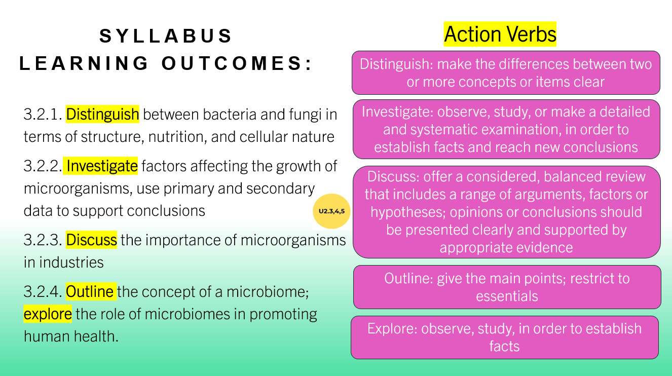 3.2 Microorganisms PPT - Image 2