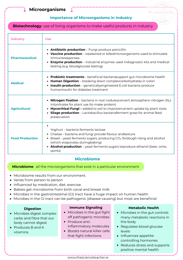 Condensed Revision Notes: Microorganisms (3.2) - Image 3