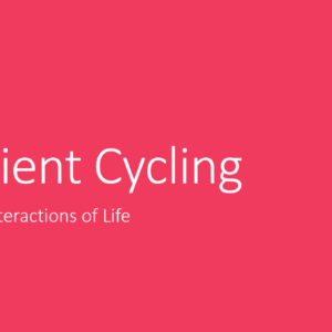3.2 Nutrient Cycling PPT