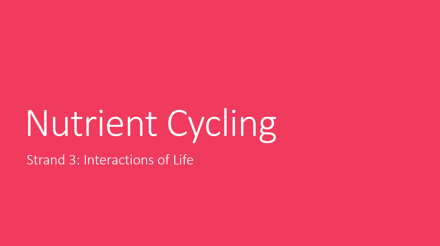 3.2 Nutrient Cycling PPT
