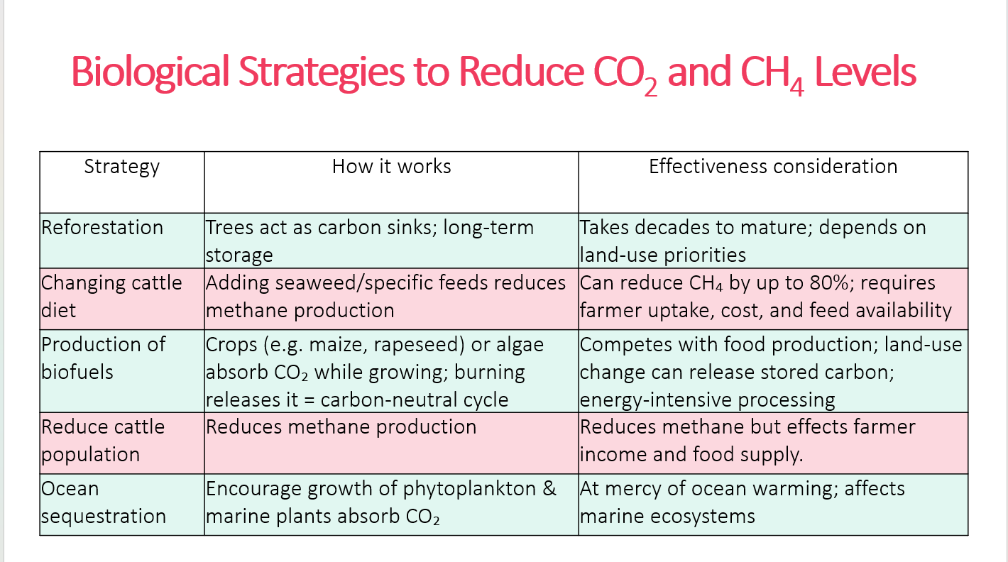 3.2 Nutrient Cycling PPT - Image 7