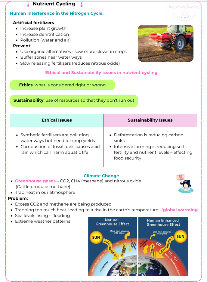 Condensed Revision Notes: Nutrient Cycling (3.2) - Image 3