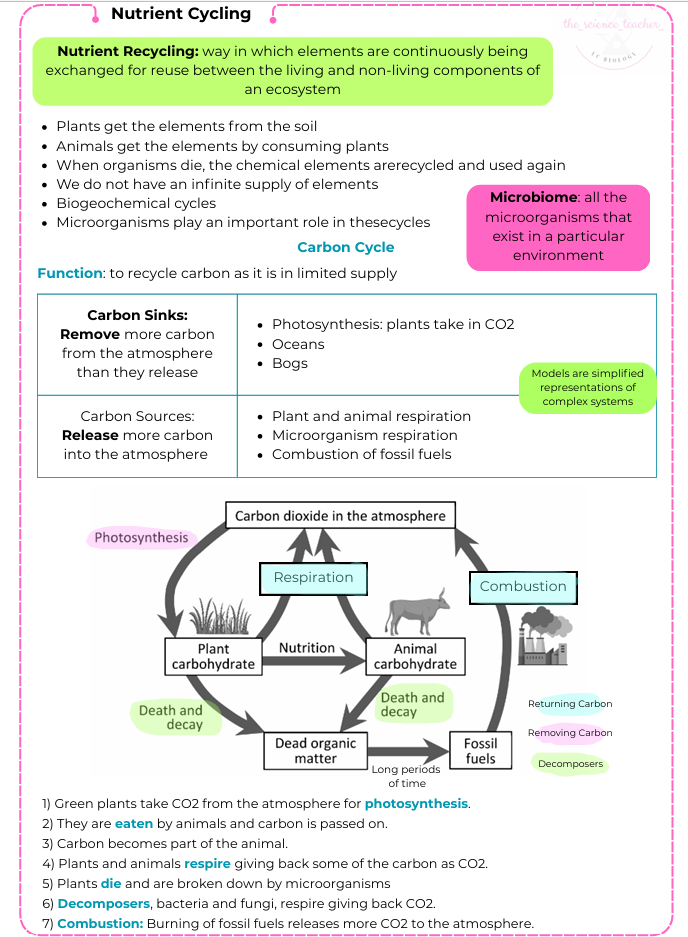 Condensed Revision Notes: Nutrient Cycling (3.2) - Image 2