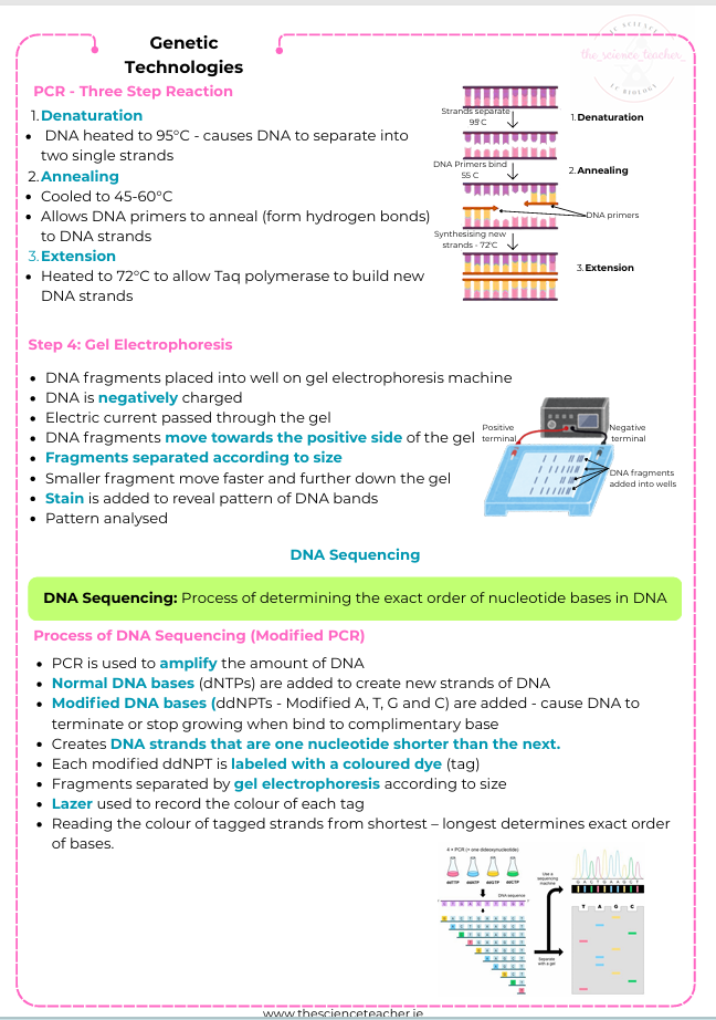 Condensed Revision Notes: Genetic Technologies (3.3) - Image 2