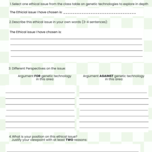 3.3.7: Ethics Debate worksheet