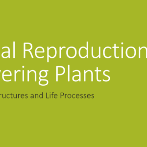2.5. Plant Reproduction PPT