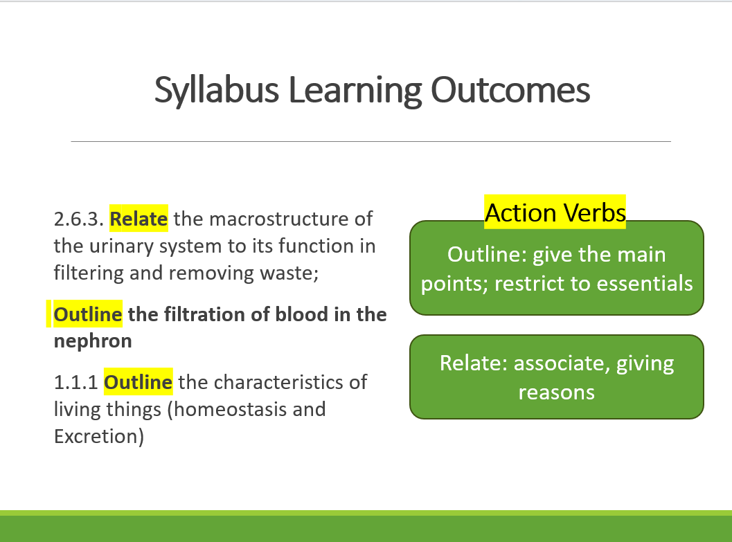 2.6.3. Urinary System PPT - Image 4