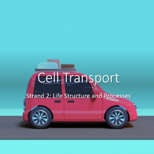 2.6.1-2. Cell Transport PPT