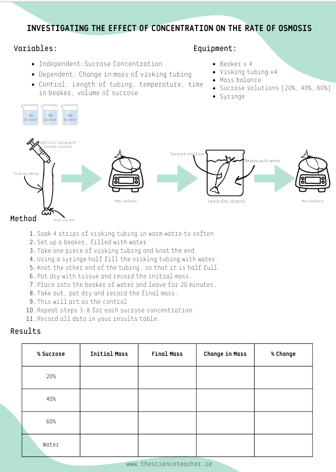 Experiment Cards: Factors Affecting Rate of Osmosis (2.6.2)