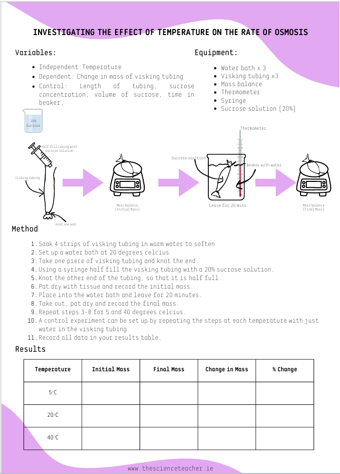 Experiment Cards: Factors Affecting Rate of Osmosis (2.6.2) - Image 5
