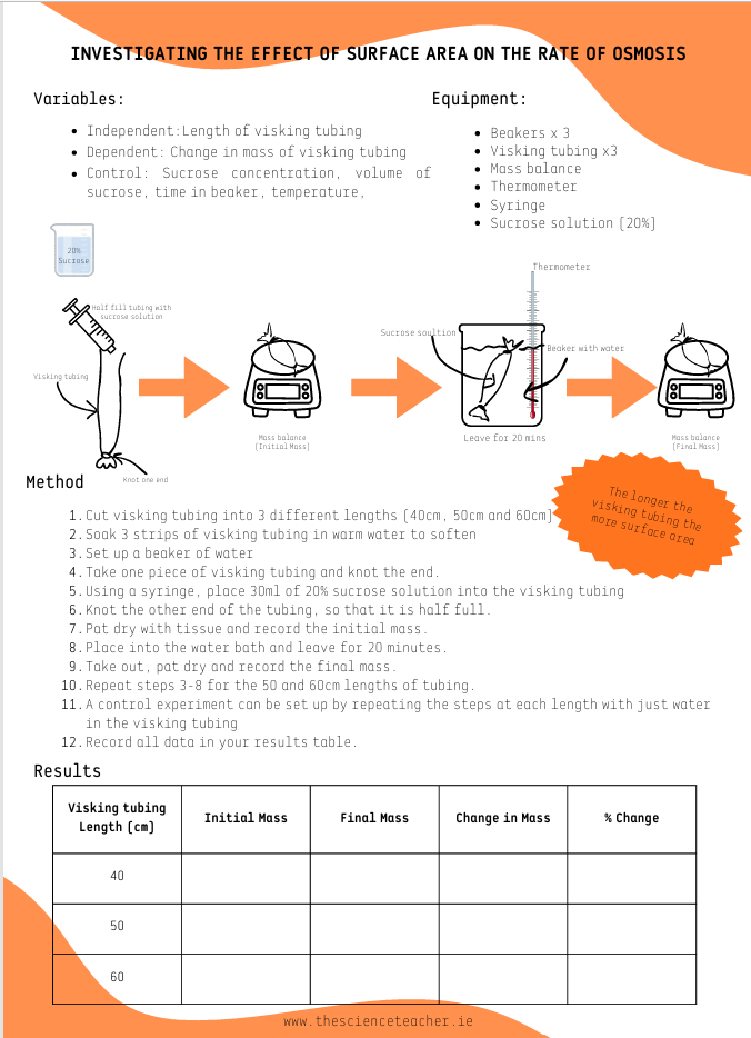 Experiment Cards: Factors Affecting Rate of Osmosis (2.6.2) - Image 2